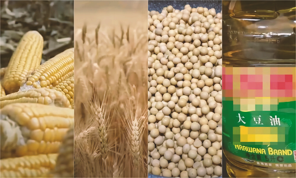 由于对中东冲突的担忧,小麦、玉米、大豆价格上涨
