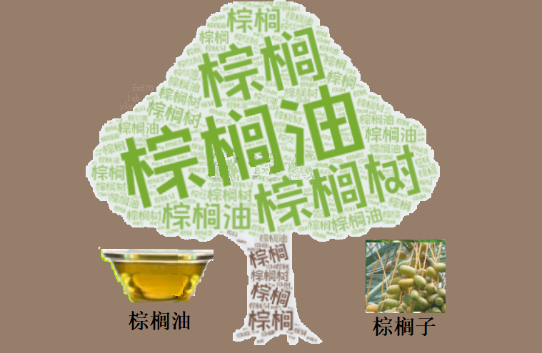 棕榈油逼近4639林吉特关键阻力:地缘脉冲与增产压力对撞,多头逻辑还剩多少时间窗口?